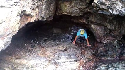 Nuée d'insectes volants dans une grotte