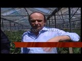 Mbështetje prodhimeve bio- Top Channel Albania - News - Lajme