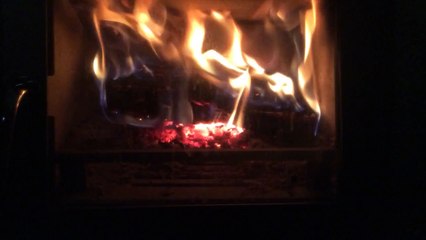 Un instant de contemplation : les flammes hypnotiques