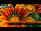 SHBA, përvjetori i 44-t i Ditës së Tokës - Top Channel Albania - News - Lajme