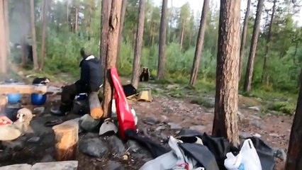 Туристы в Заполярье прогнали медведя, исполнив хором «Песню про зайцев»