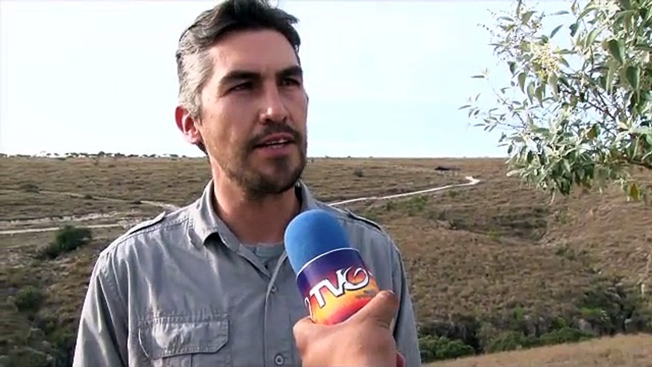 Cañada de la Virgen