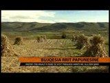 Bujqësia rrit papunësinë - Top Channel Albania - News - Lajme