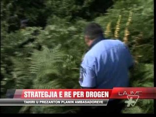 Download Video: Tahiri: Strategji kundër drogës - News, Lajme - Vizion Plus