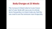 23 weeks pregnant, Pregnancy Week 23 Tips, Baby's Development at 23 weeks pregnant