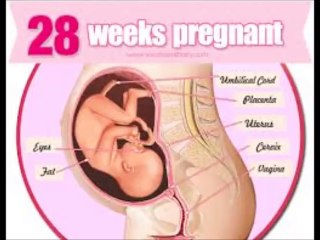 28 Weeks Pregnant, 28 weeks pregnant symptoms