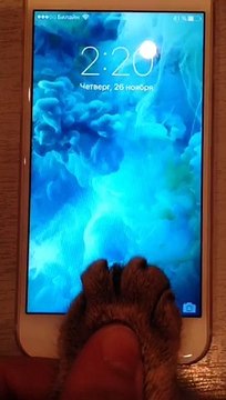 Александр Бон (shponks) on Periscope [2015-11-26 02-18] Соня id touch ‼️ может теперь сама заходить и перескопиться