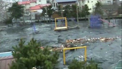 ЧТО ЭТО Непонятное НЕЧТО выпрыгнуло из воды во время Цунами!..