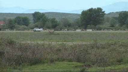 USHTRIA NIS RRETHIMIN E AEROPORTIT TE GJADRID