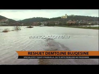 Reshjet dëmtojnë bujqësinë - Top Channel Albania - News - Lajme