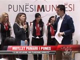 Mbyllet Panairi i punës, 13 500 aplikime - News, Lajme - Vizion Plus