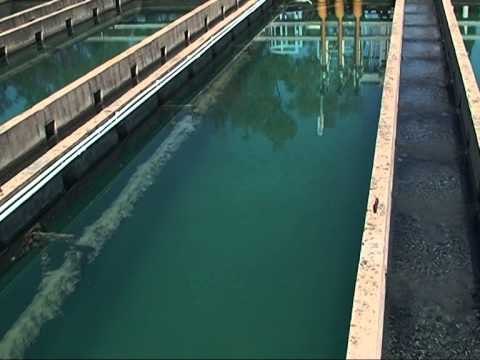 ALARMI I ISHP UJI I NDOTUR ME BAKTERIE NE PJESEN ME TE MADHE TE UJESJELLESVE LAJM