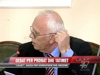 Debat për pronat dhe tatimet - News, Lajme - Vizion Plus