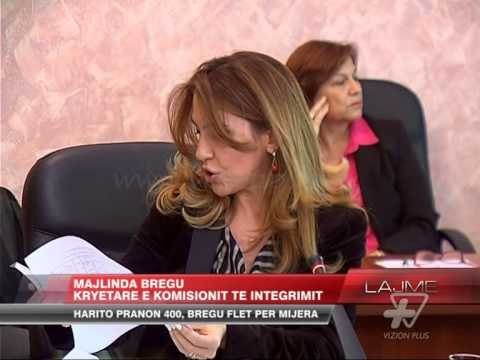 Komisioni i Integrimit, debat për largimet nga puna - News, Lajme - Vizion Plus