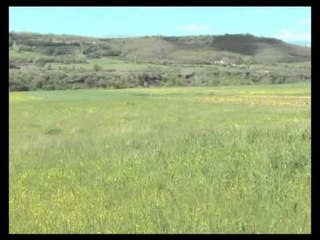 LUGINA E MATIT LIHEN DJERRE 1300 HA TOKE BUJQESORE PASI KA KOSTO TE LARTE LAJM