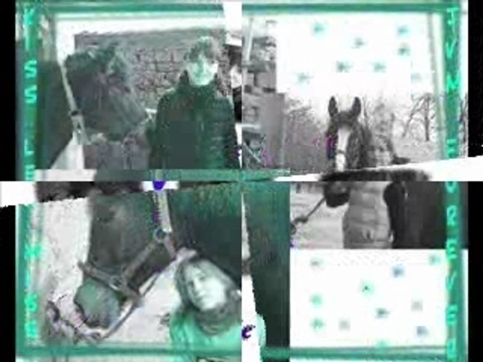 Love-horse