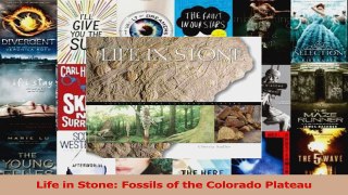 Read  Life in Stone Fossils of the Colorado Plateau Ebook Free