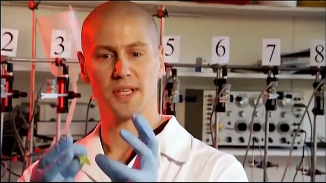 EVOLUTION OF SNAKE VENOM - Scientific Research / Top Poisonous Snakes (Full Documentary HD