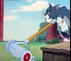 Funny Scene From Tom And Jerry