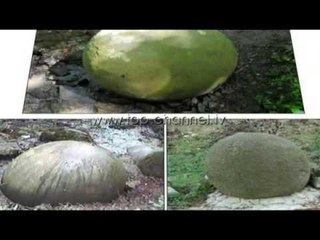 Sfera gjigante në Rrugën e Kombit - Top Channel Albania - News - Lajme