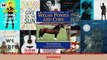 Read  An Introduction to Welsh Ponies and Cobs Horses  ponies Ebook Free