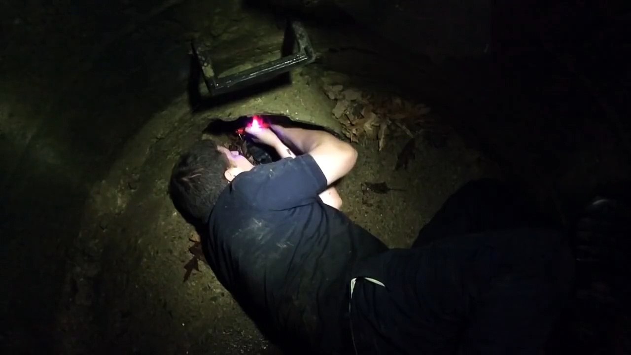 Ces hommes sauvent un chien coincé dans les égouts. Un sauvetage haletant !