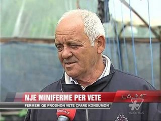 Dajt, një minifermë për konsum personal - News, Lajme - Vizion Plus