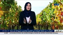 النشرة الجوية   أحوال الطقس ليوم 26 نوفمبر 2015