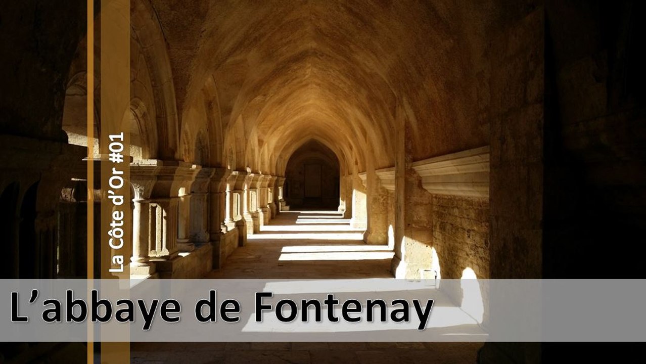 Visite de la Côte d'Or n°01, l'abbaye de Fontenay (d)