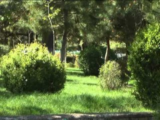 PARKU MBRETERESHA GERALDINE NE BURREL LULEZOJNE PEMET E RRALLA TE VENDEVE TROPIKALE LAJM