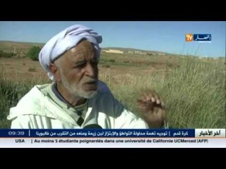 البيض: عسل اللبينة.. جودة عالية و علامة مسجلة بالولاية