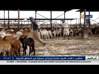 طالع مختلف الأخبار الإقتصادية على قناة النهار TV