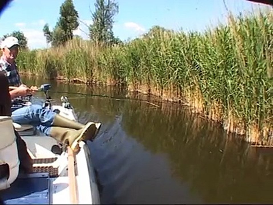 O partida de spining reusita