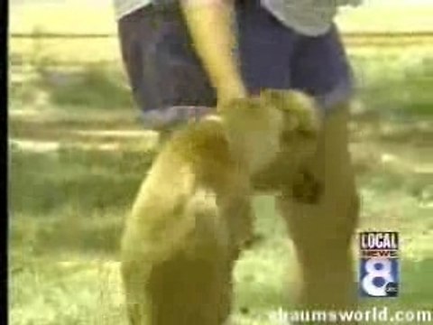 Chien à deux pattes