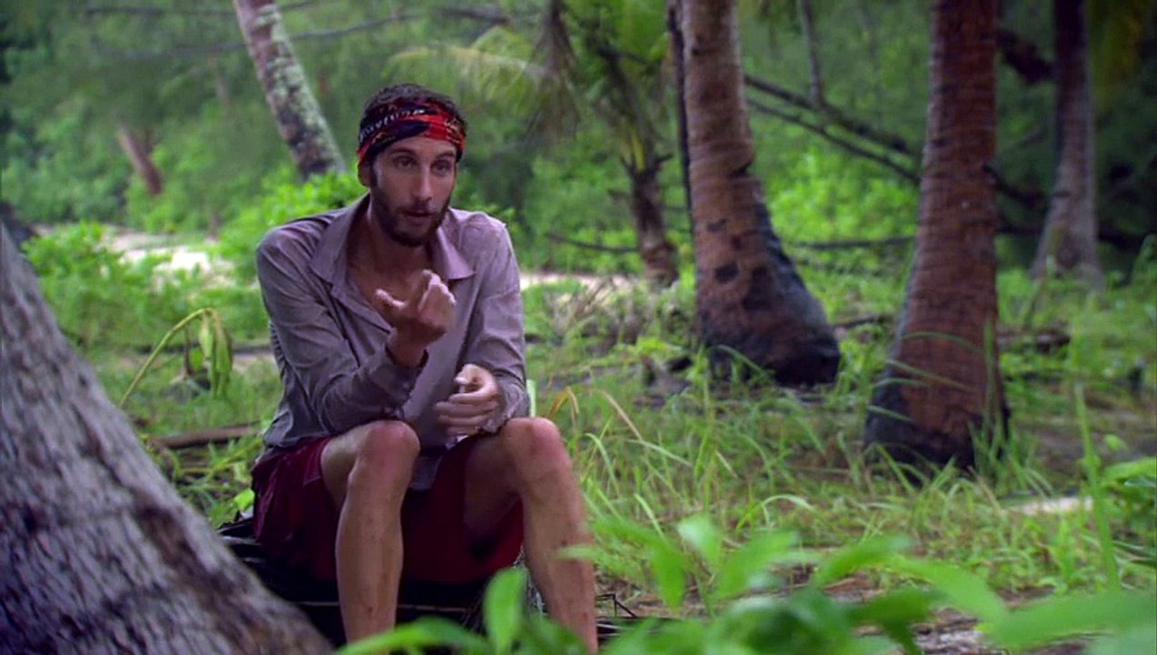 Survivor - A Super Shelter
