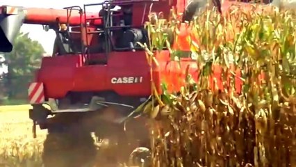 New modern farming technology, modern machines agriculture, tractors working on the farm