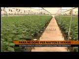 Parà në dorë për naftën e serave - Top Channel Albania - News - Lajme