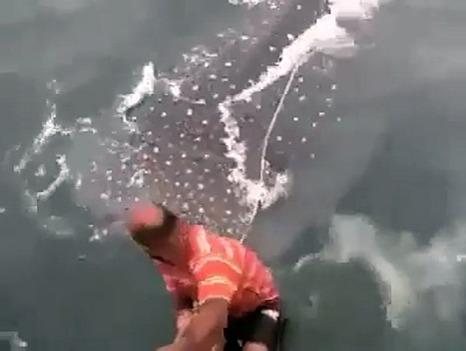 A Man Playing With a Fish