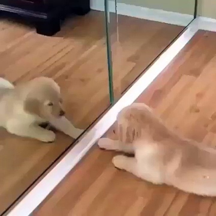 So Sweet kiki emotion heart emotion