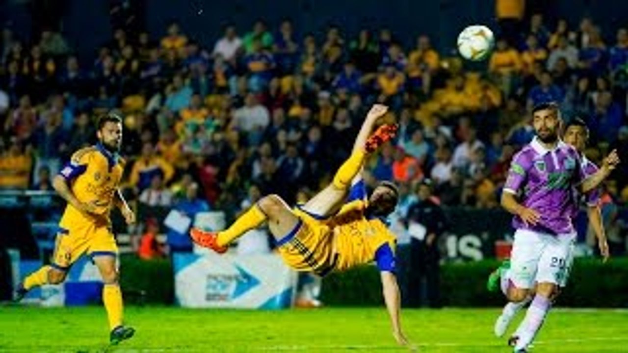 Gignac inscrit un superbe ciseau acrobatique avec les Tigres!