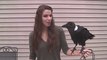 Funny Raven speaks and messes with his Human!