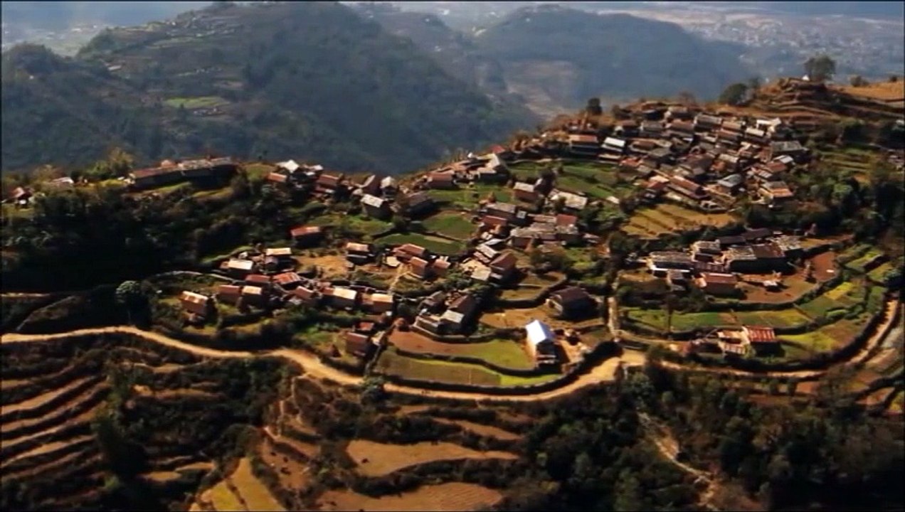 What Brings You Here