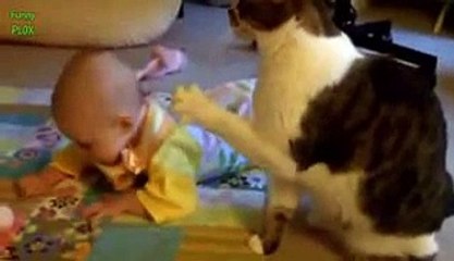 Cute Cats and Dogs Love Babies Compilation