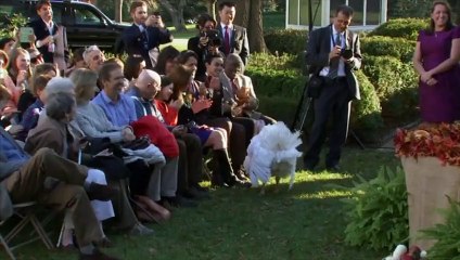 Barack Obama gracie une dinde avant Thanksgiving
