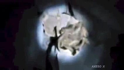 REAL DRAGON! Found alive in a cave caught on Camera