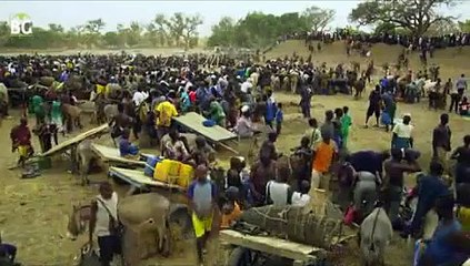 böyle balık avı mı olur la