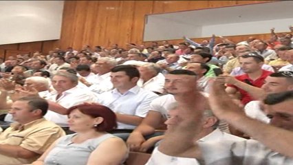 BASHA: DREJTUESIT E PD DO TE REFLEKTOJNE VLERA