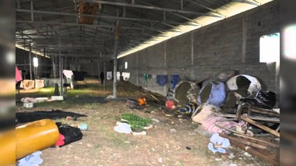 LAZARATI NE SHTETRRETHIM, ASGJESOHEN 7 PARCELA KANABIS