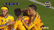 Los 9 Goles De Hernán Darío Burbano Con Tigres HD