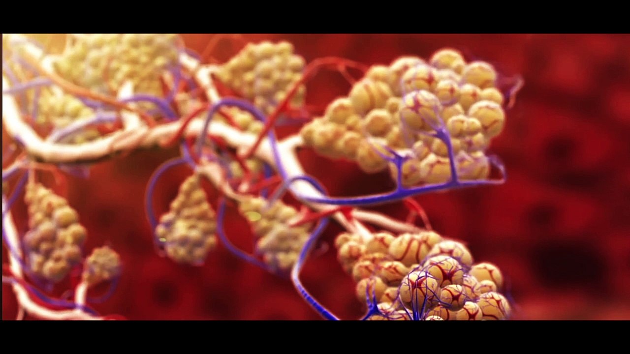 3D Asthma Medical Animation (New Natural Treatment Trials)